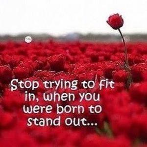 Meet your Posher, Addie